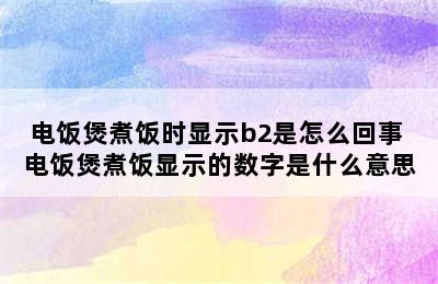 电饭煲煮饭时显示b2是怎么回事 电饭煲煮饭显示的数字是什么意思